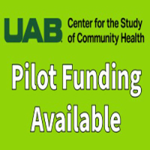 Community Health Innovation Pilot Grants